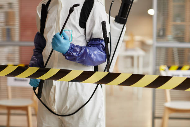 Professional Sewage Cleanup technician working in Chester, NJ